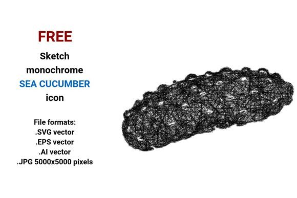 FREE Sketch Sea Cucumber Icon for Graphic Design Freebies